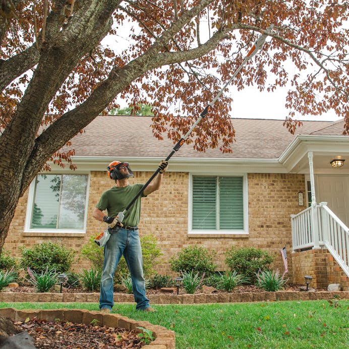 Stihl HTA 50 pole pruner