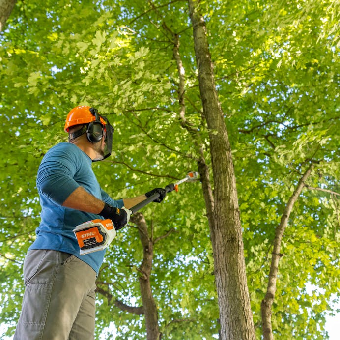 STIHL® HTA 50 Kit w/ AK20, AL101 (6401 PH)