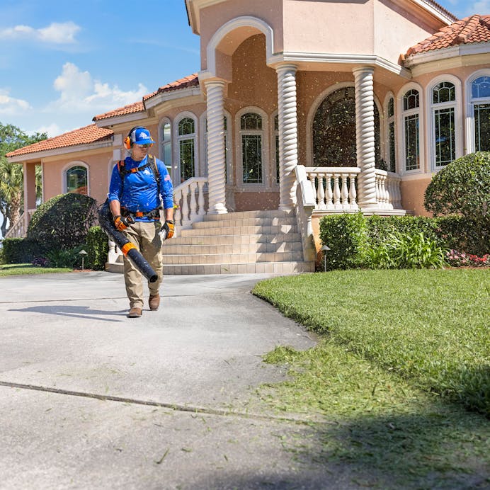 STIHL® BR 800 C-E MAGNUM® - SAVE $50!!!