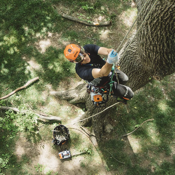 STIHL® MS 194 T