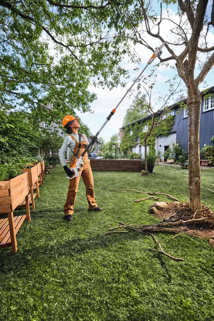 STIHL HTA 30 8-Inch Battery Pole Saw Kit