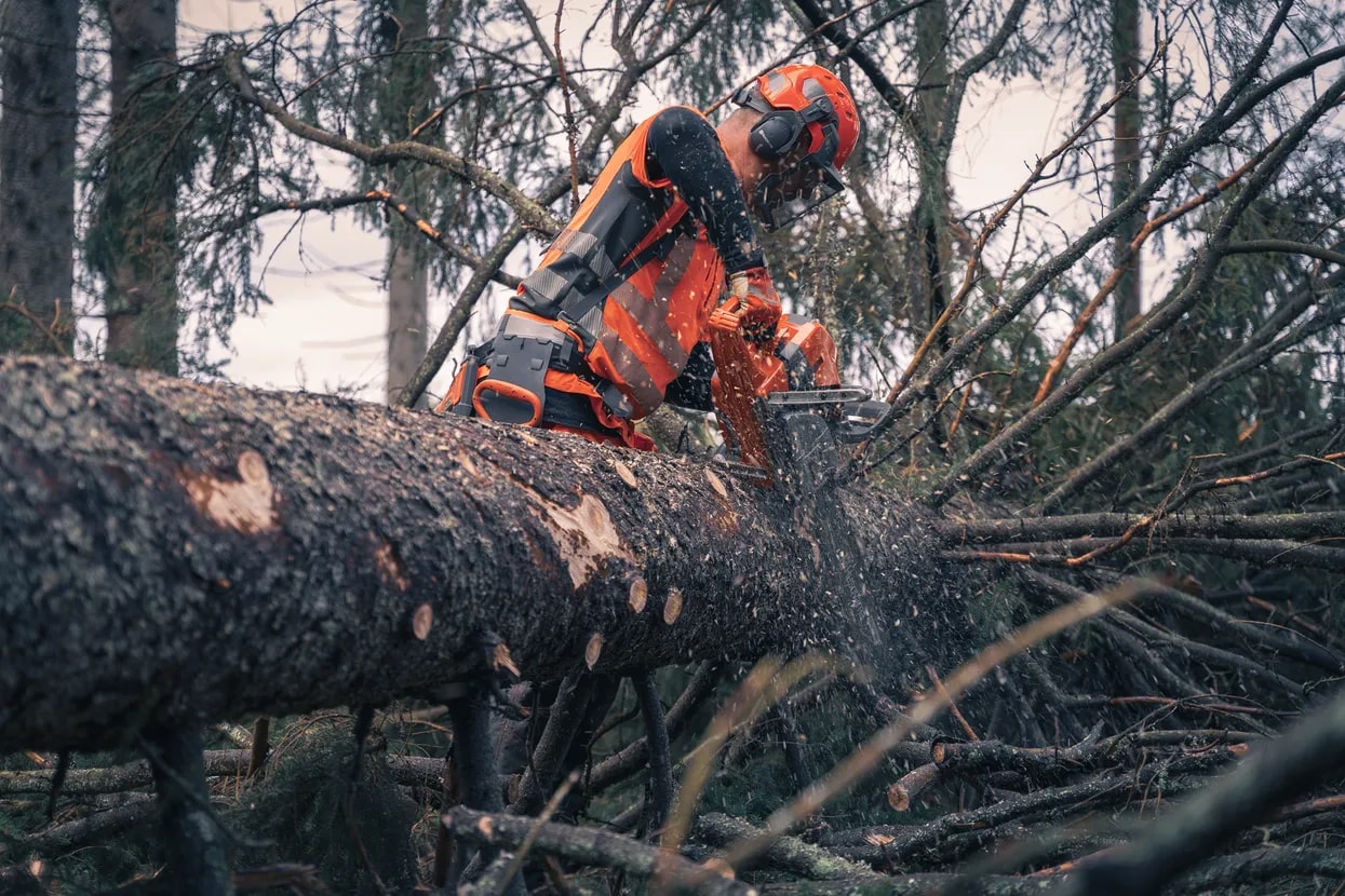 Husqvarna 592 XP® Chainsaws