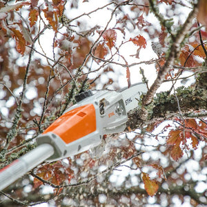 STIHL® HTA 50  pole pruner