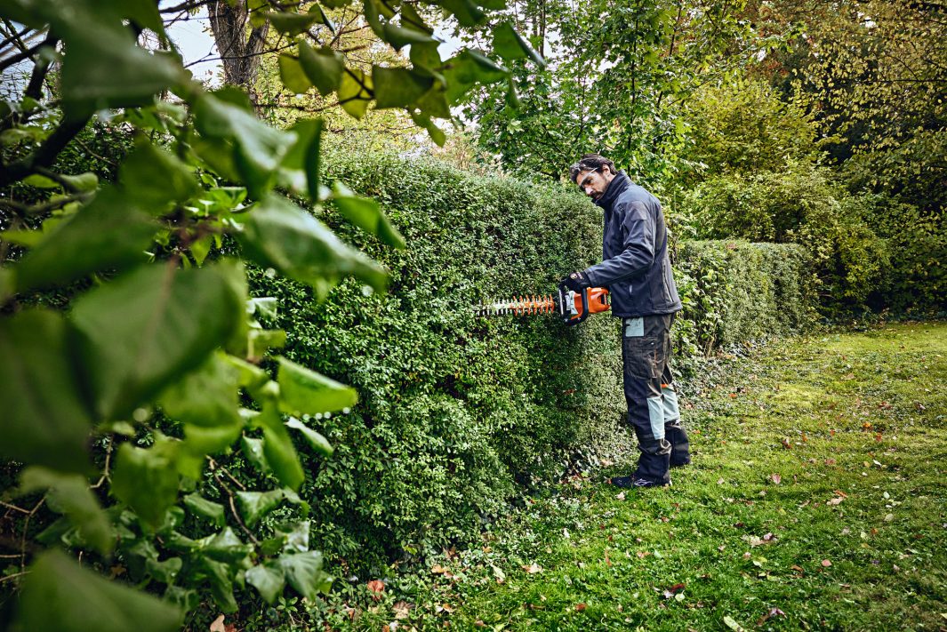 STIHL® HSA 100 Cordless Hedge Trimmer - AP System