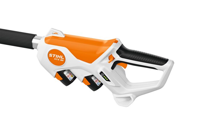 STIHL HTA 30 8-Inch Battery Pole Saw Kit